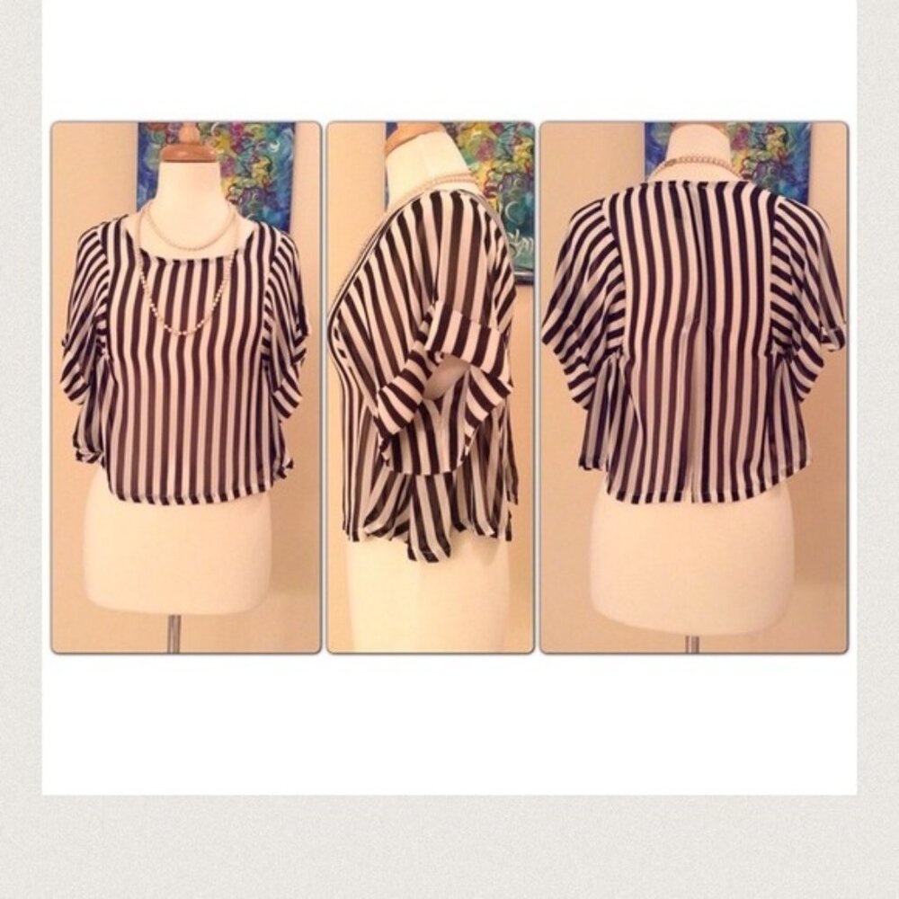 🎉SOLD🎉👻Dressy Cropped Top